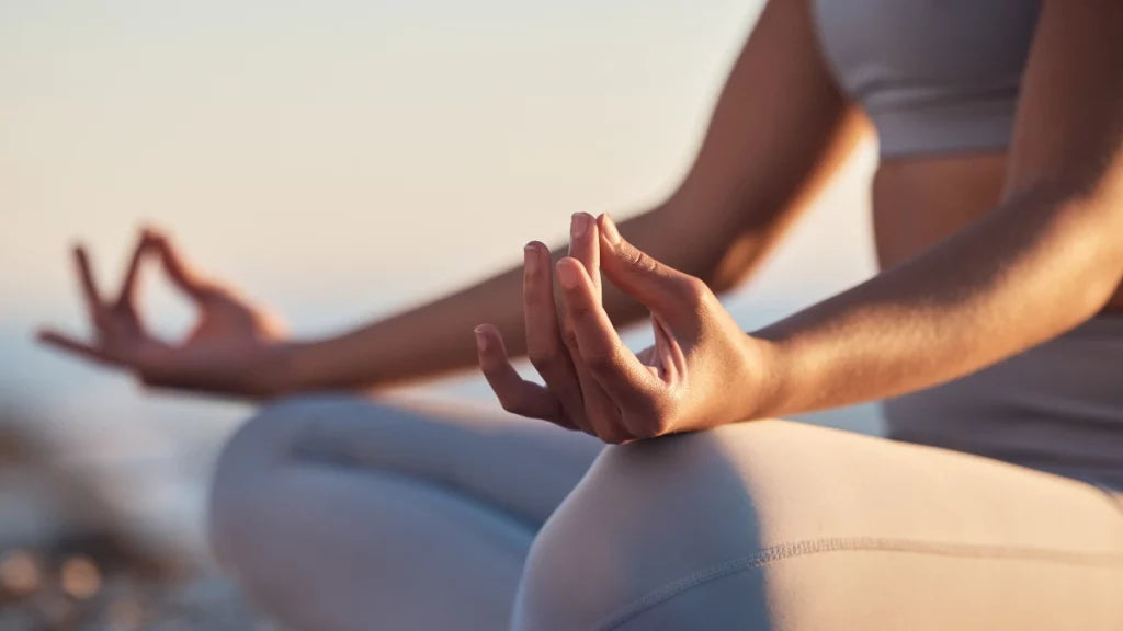 Zafus - almofadas de meditação