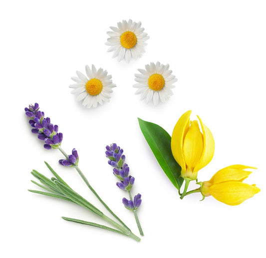 Blend calmante Serenity doTERRA - 15 ml