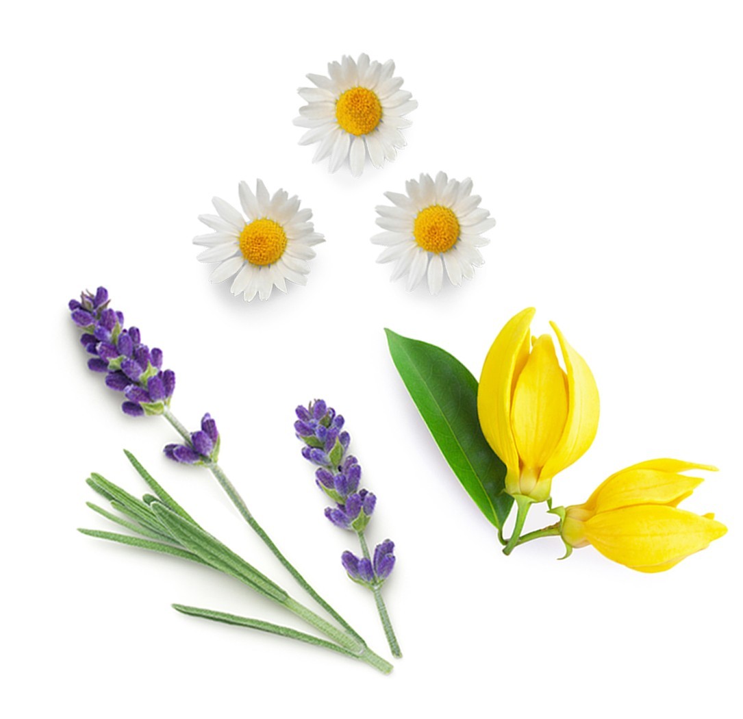 Stick calmante Serenity com Valeriana doTERRA