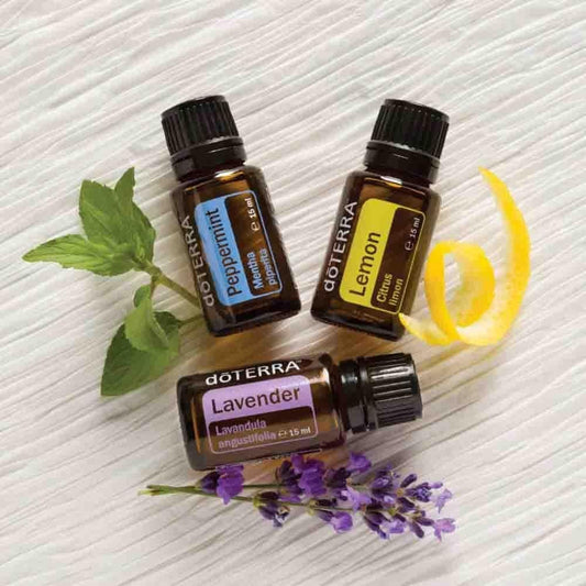 Kit introdutório grande de óleos essenciais doTERRA - 15 ml