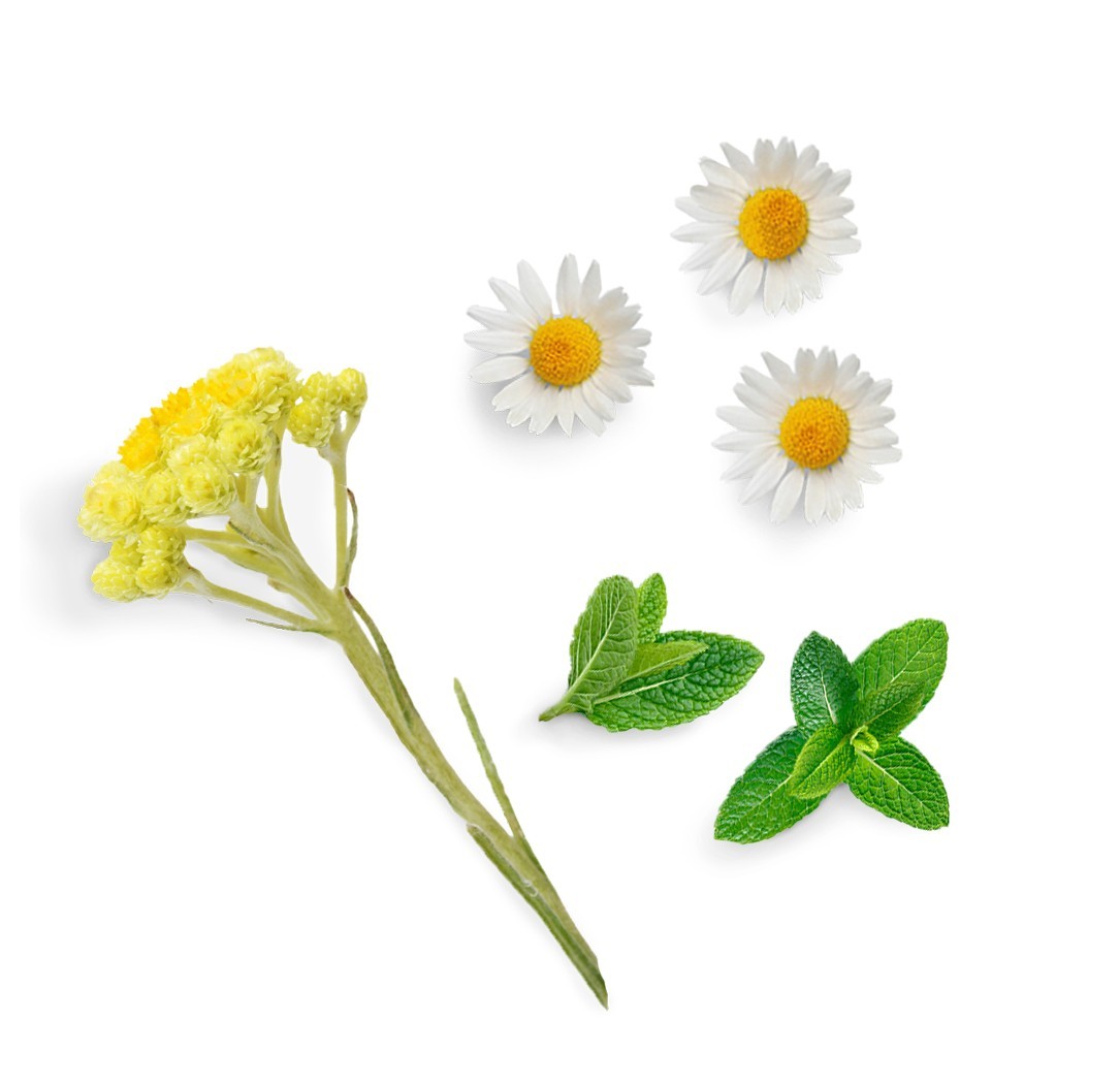 Blend suavizante Deep Blue doTERRA - 5 ml