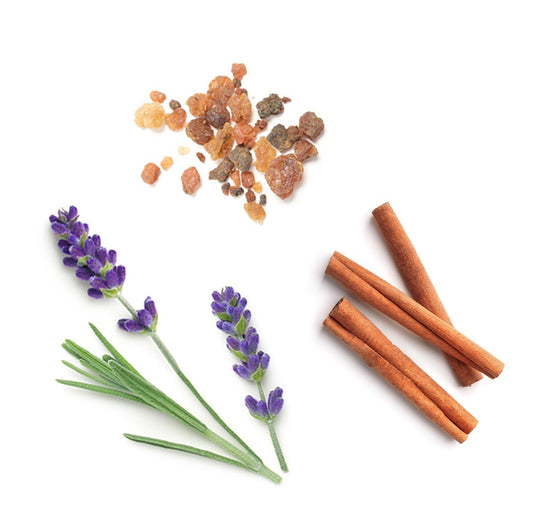 Blend de ancoragem Anchor doTERRA - 5 ml