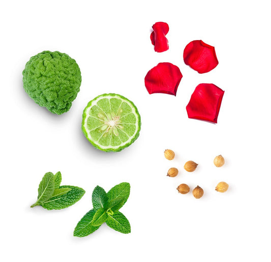 Blend de alinhamento (Align) doTERRA - 5 ml