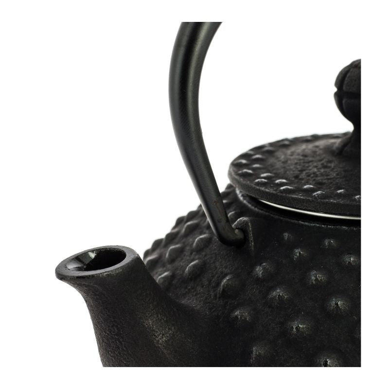 Chaleira Japonesa de ferro fundido Iwachu Kanbin preta - 350 ml