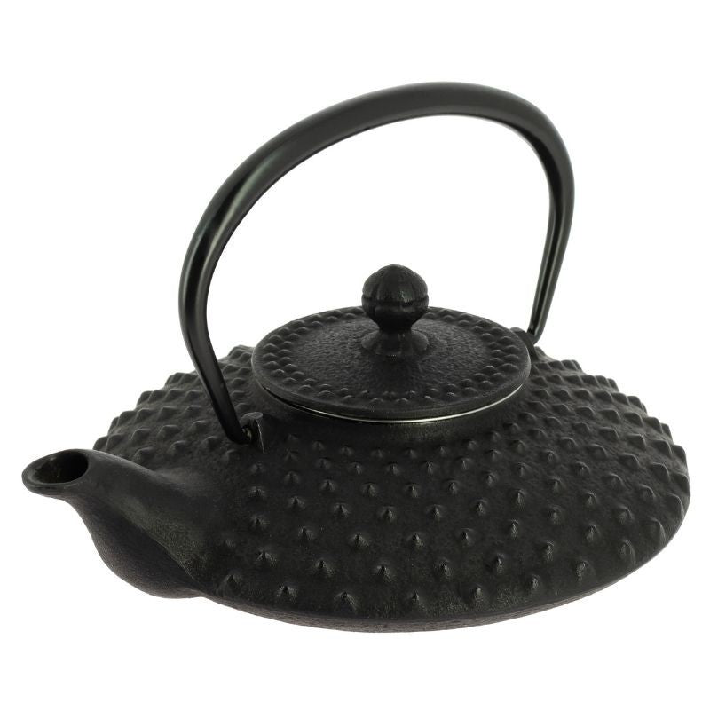 Chaleira Japonesa de ferro fundido Iwachu Kanbin preta - 500 ml