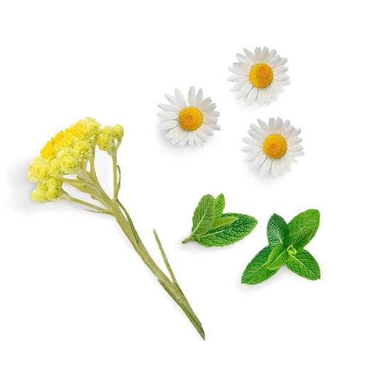 Blend suavizante Deep Blue touch doTERRA Roll-on - 10 ml