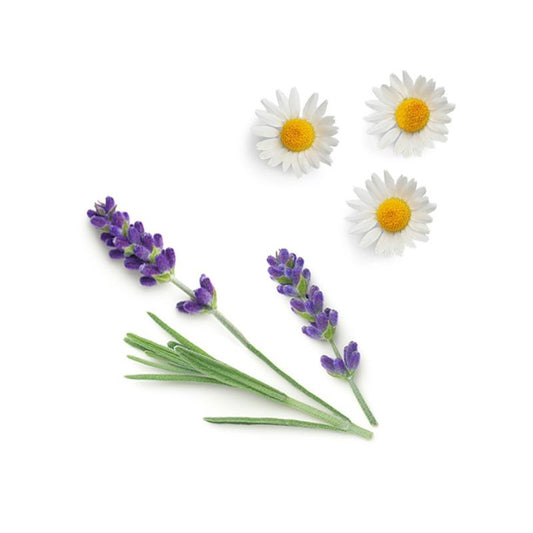 Blend relaxante Calmer doTERRA Roll-on - 10 ml