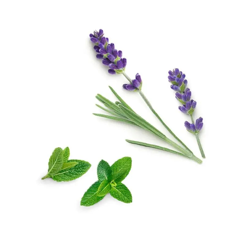 Blend calmante Rescuer doTERRA Roll-on