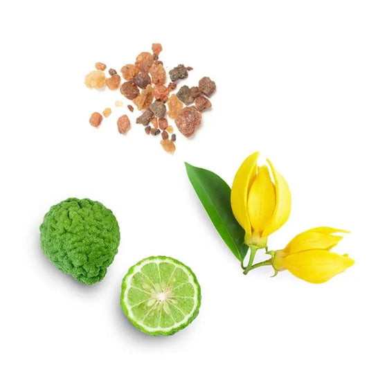 Blend de esperança Hope doTERRA Roll-on