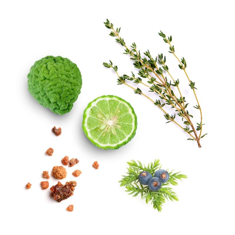 Blend de renovação Forgive doTERRA Roll-on - 10 ml