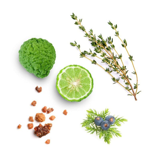 Blend de renovação Forgive doTERRA Roll-on - 10 ml