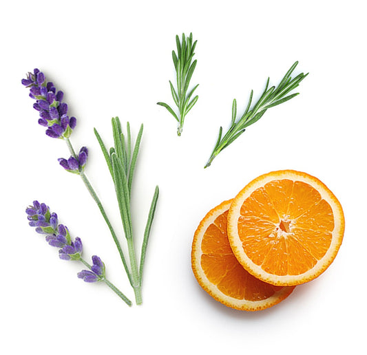 Blend de equilíbrio Adaptiv doTERRA - 15 ml