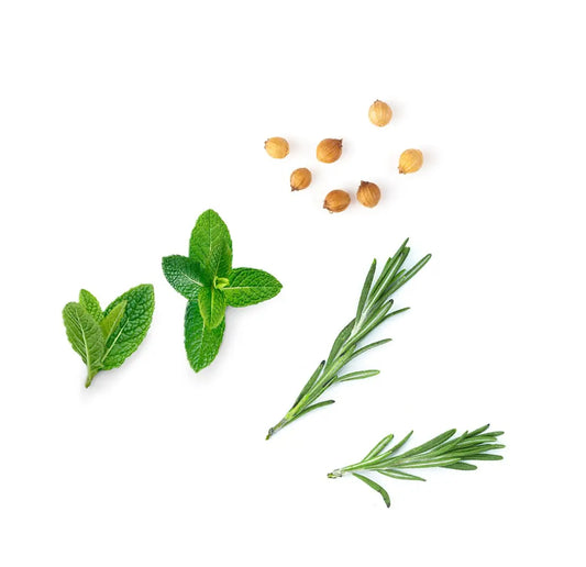 Blend de motivação Motivate doTERRA