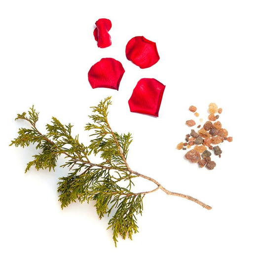 Blend protetor Stronger doTERRA Roll-on - 10 ml