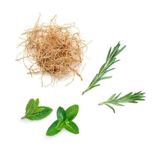 Blend de foco Thinker doTERRA Roll-on - 10 ml