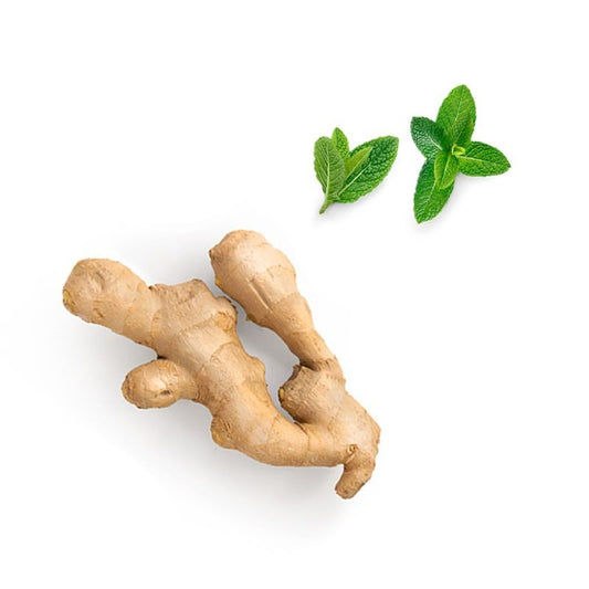 Blend digestivo Tamer doTERRA Roll-on - 10 ml