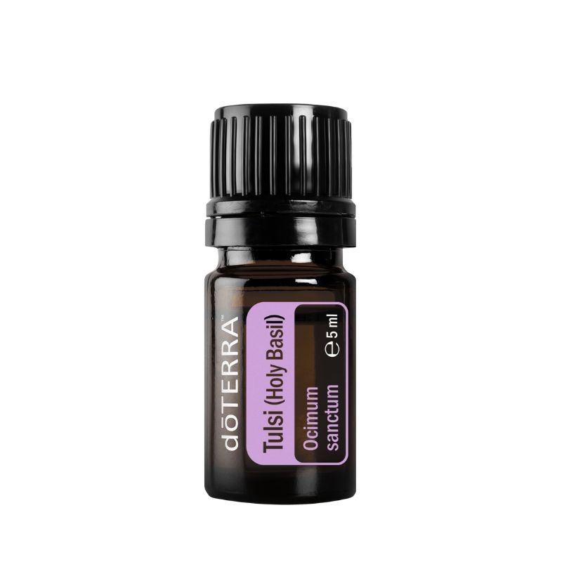 Óleo essencial de Tulsi Manjericão Sagrado (Ocimum sanctum) doTERRA - 5 ml