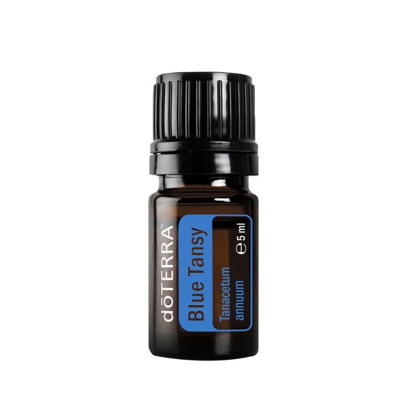 Óleo essencial de Tanaceto Azul Blue Tansy (Tanacetum annuum) doTERRA - 5 ml