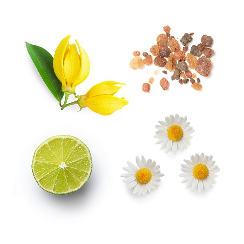 Blend de foco InTune doTERRA Roll-on - 10 ml