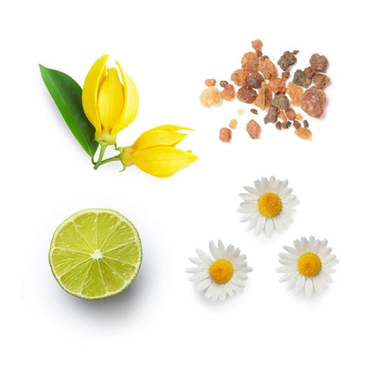 Blend de foco InTune doTERRA Roll-on - 10 ml