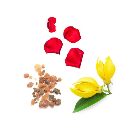 Blend reconfortante Console doTERRA - 5 ml