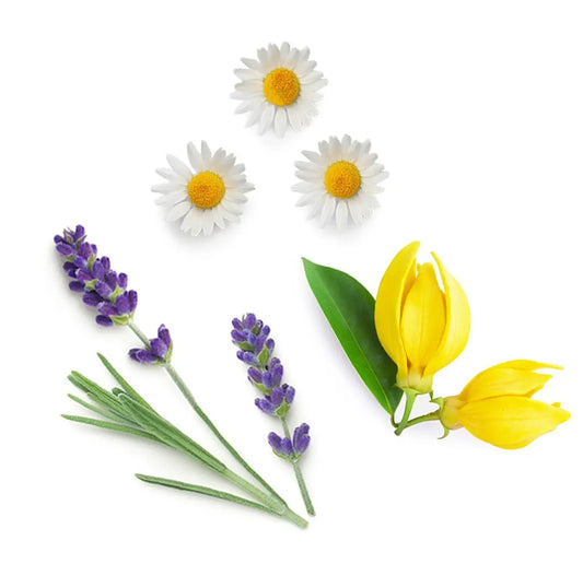 Pack combinado Serenity doTERRA