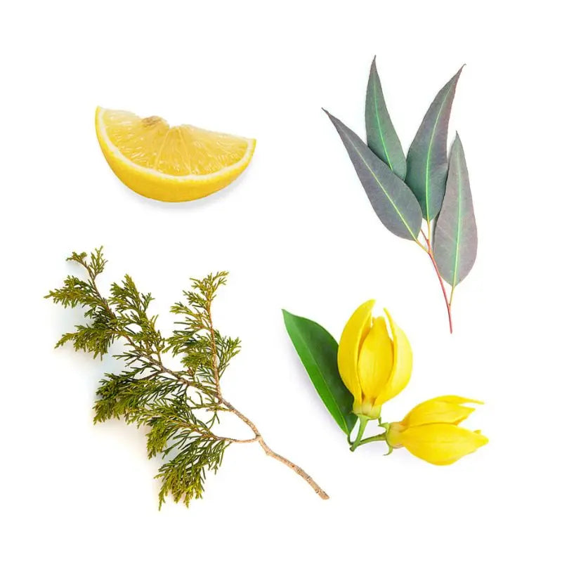 Spray de exteriores TerraShield doTERRA - 30 ml
