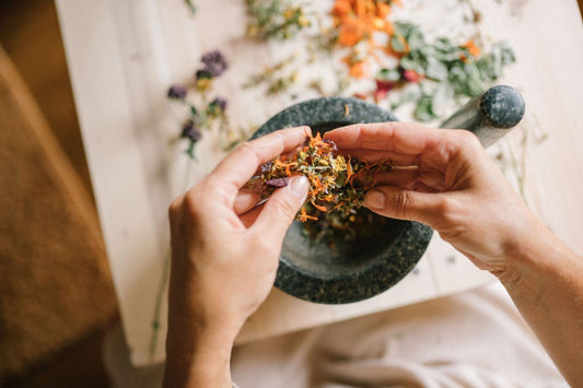 Medicina Ayurveda: guia essencial para entender