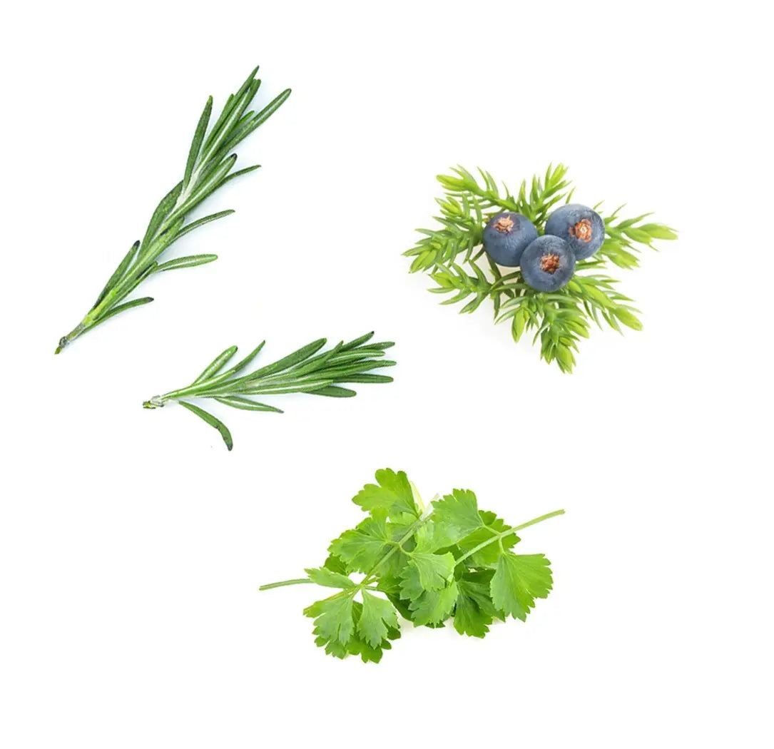 Blend restaurador Zendocrine doTERRA