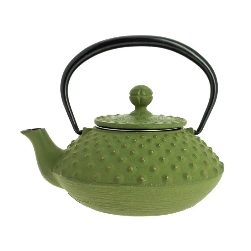 Chaleira Japonesa de ferro fundido Iwachu Kanbin verde e dourada