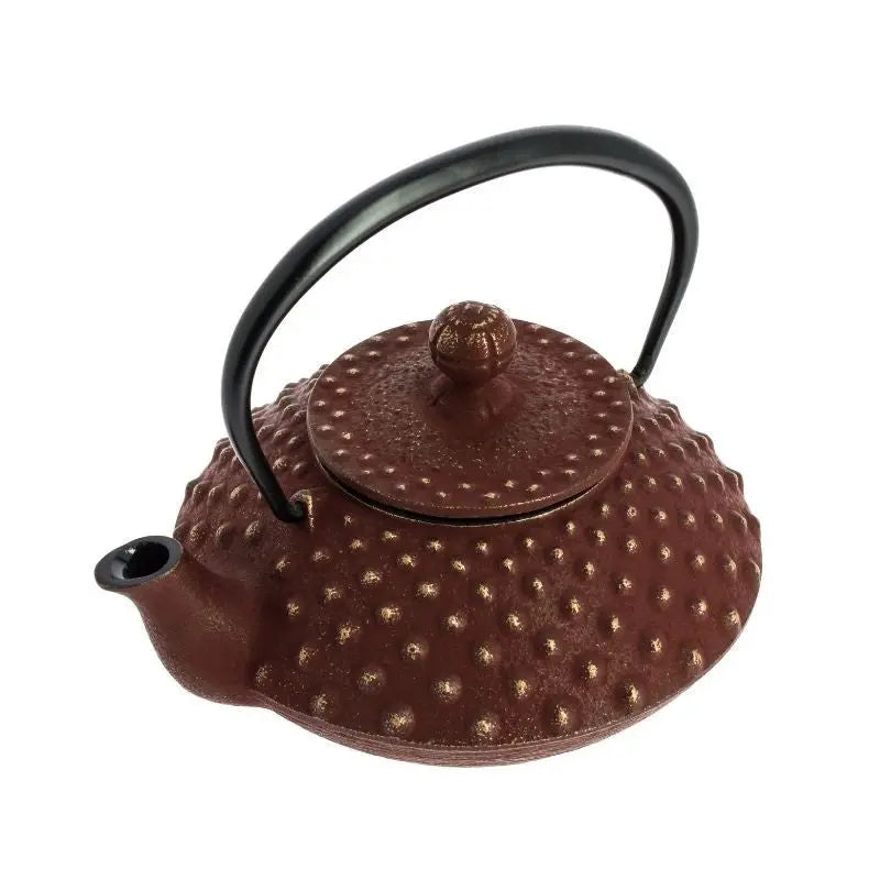 Chaleira Japonesa de ferro fundido Iwachu Kanbin castanha e dourada