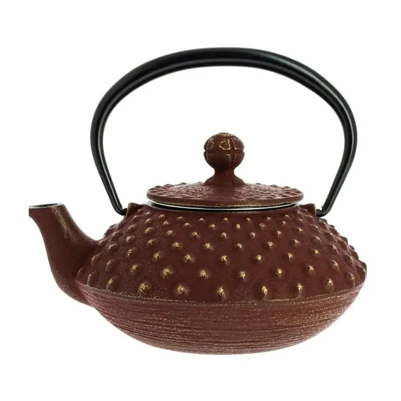 Chaleira Japonesa de ferro fundido Iwachu Kanbin castanha e dourada