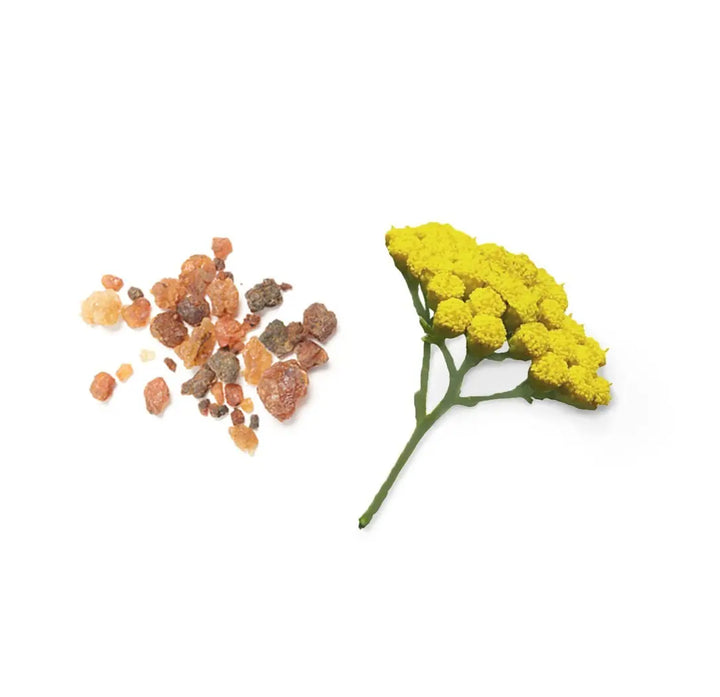 Blend de enraizamento Balance doTERRA Roll-on