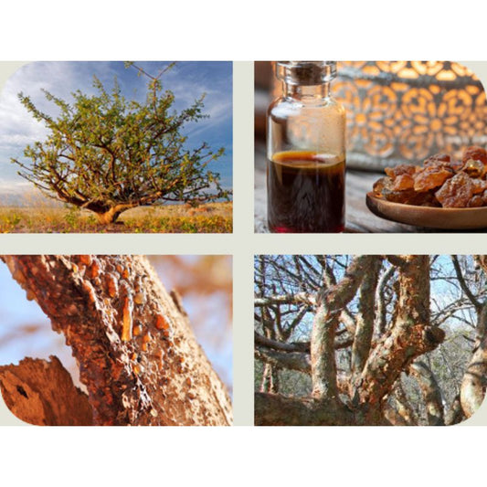 Resina natural de Mirra