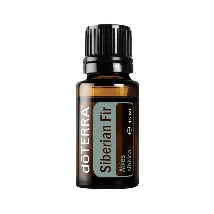 Óleo essencial de Abeto siberiano doTERRA