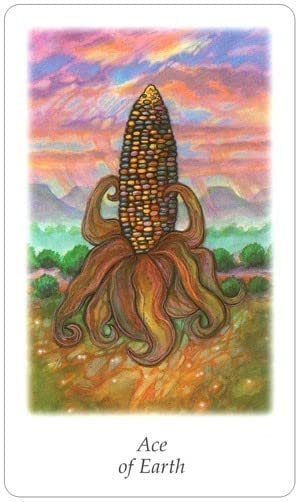 Tarot Vision Quest