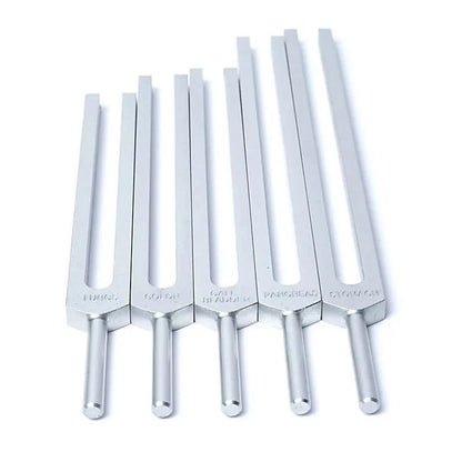 Kit de diapasões dos órgãos do corpo humano