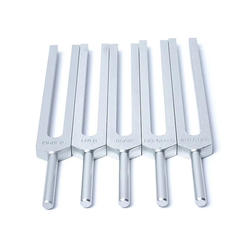 Kit de diapasões dos órgãos humanos